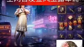 军需最新爆料视频,揭秘神秘装备与战术革新  第3张